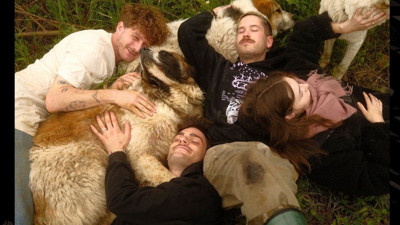 Tierbrücke - Jede Seele braucht ein Zuhause