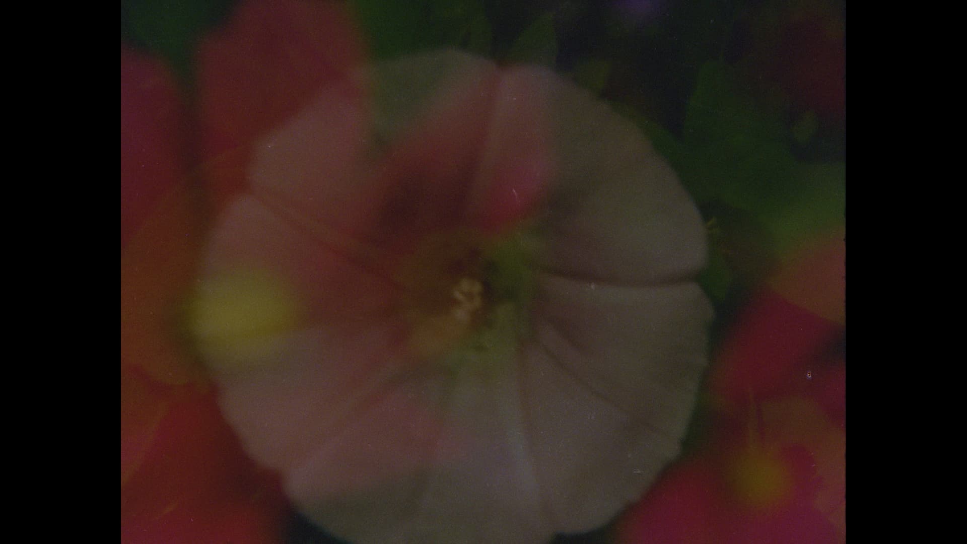 Ahora y en la hora de nuestra muerte