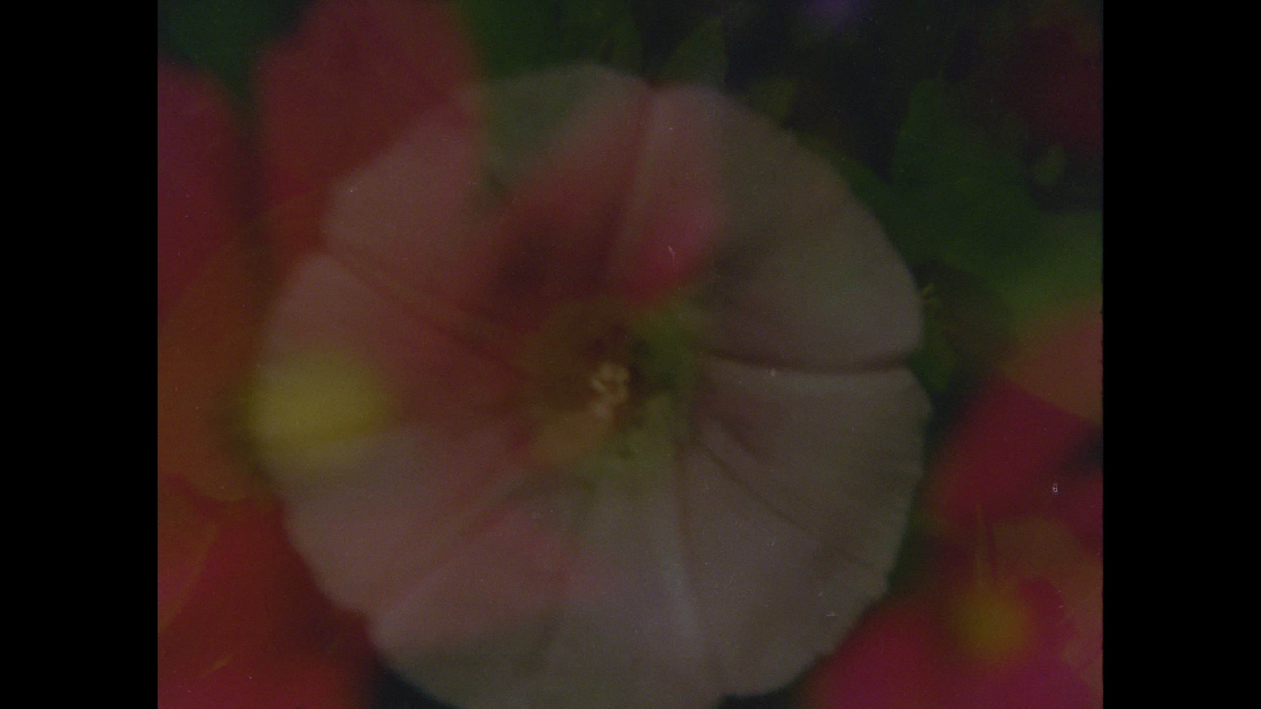 Ahora y en la hora de nuestra muerte