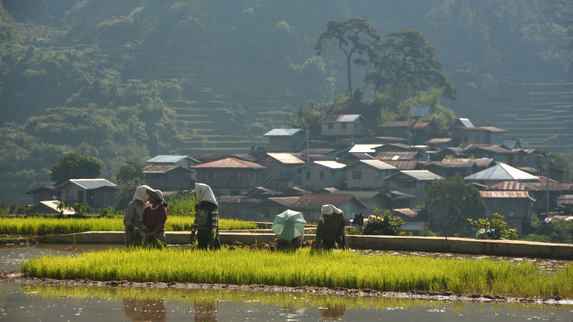 Walang Rape sa Bontok