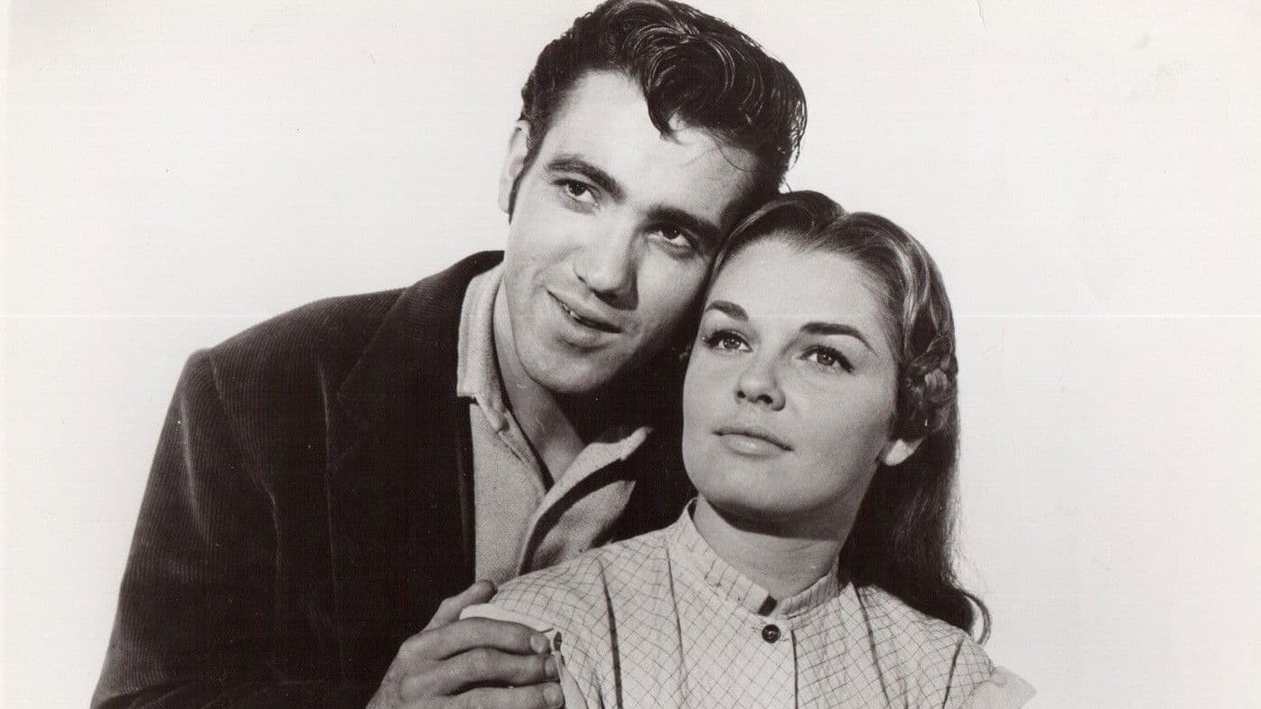 The Little Shepherd Of Kingdom Come