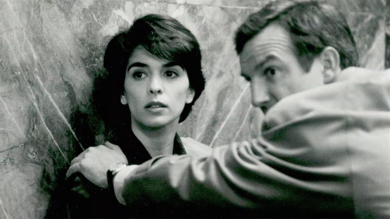 Șoaptele din întuneric