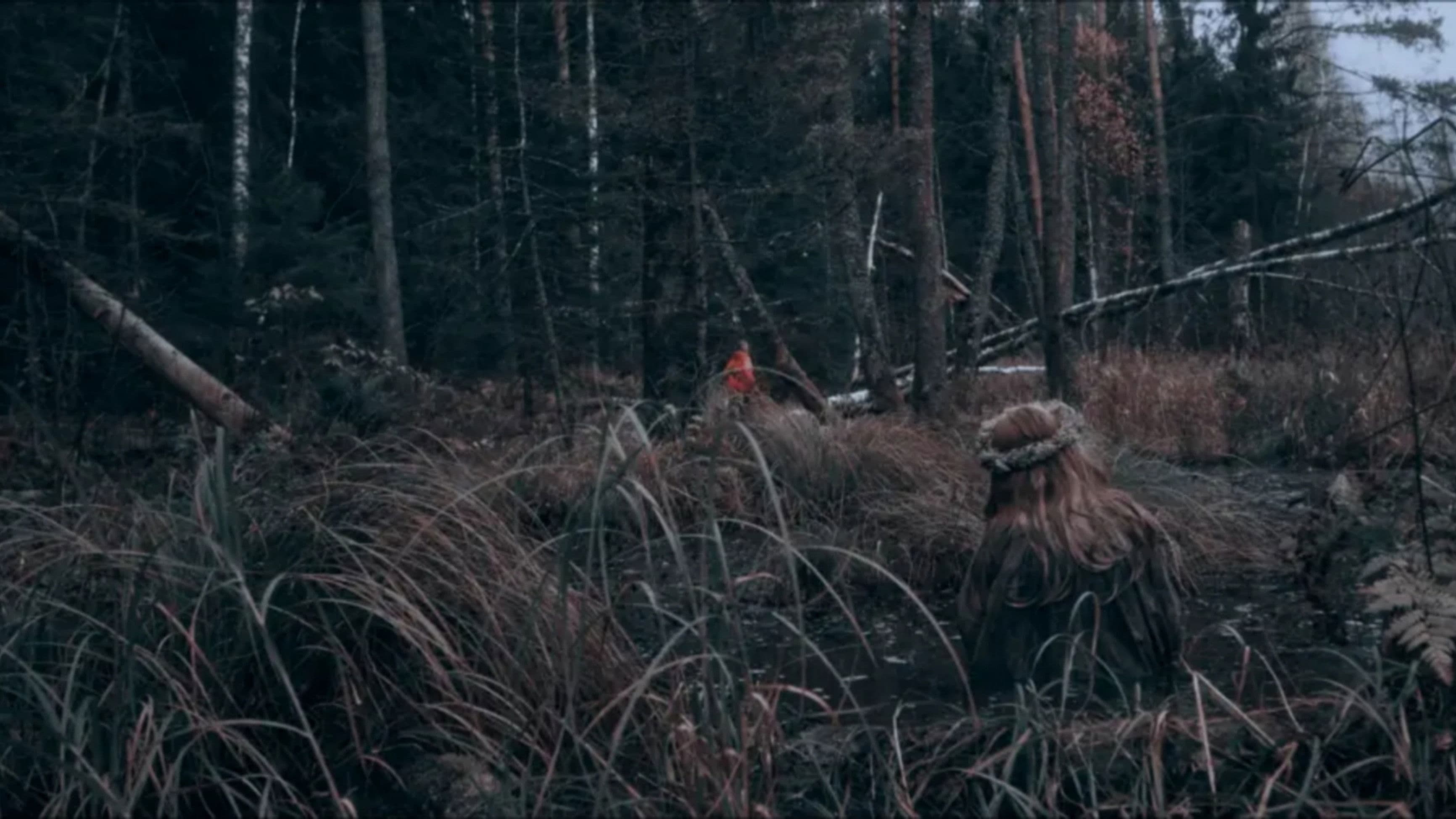 Извод: Ведьмина топь