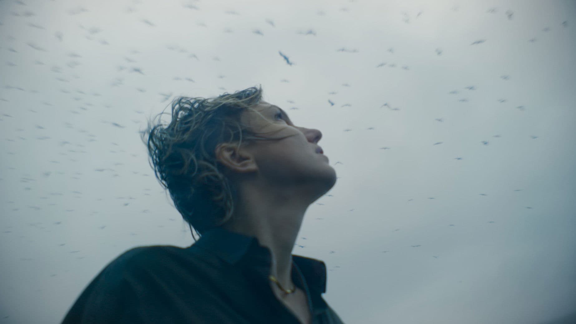 Les enfants du large