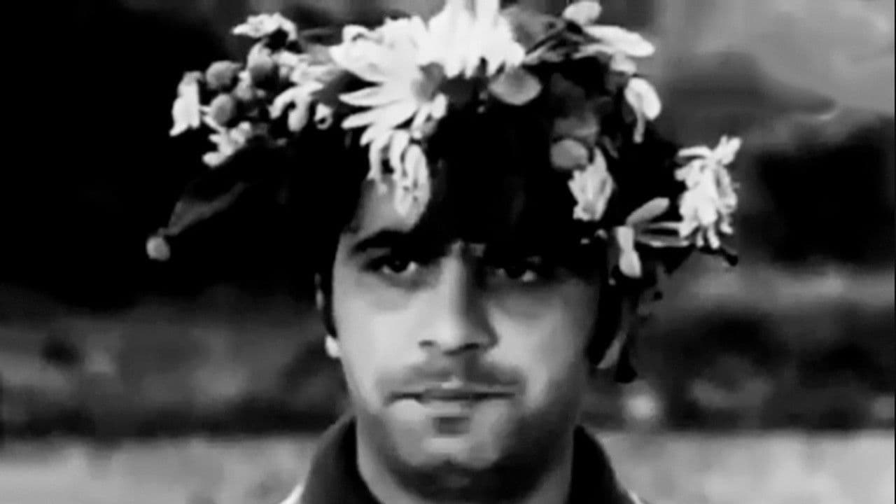 Bizi Dağlarda Axtarın