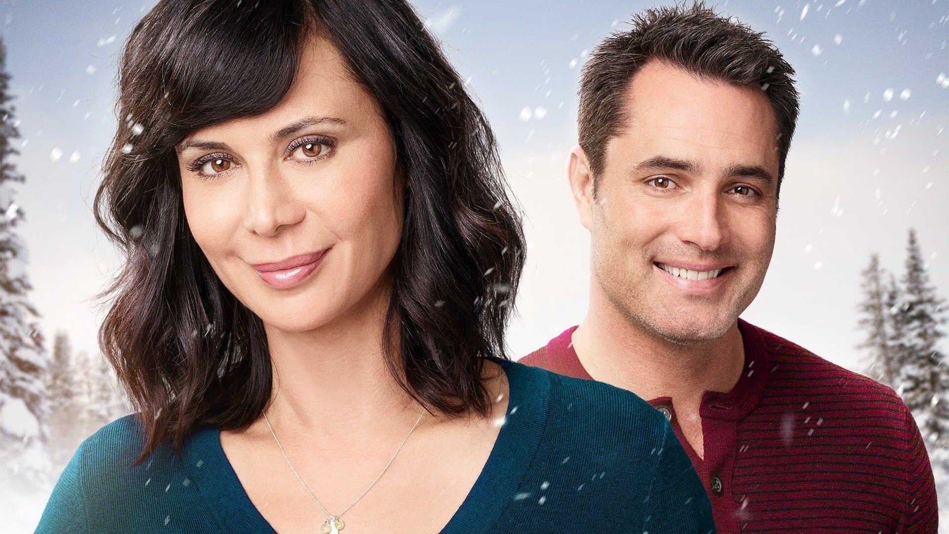 Acasă în ziua de Crăciun