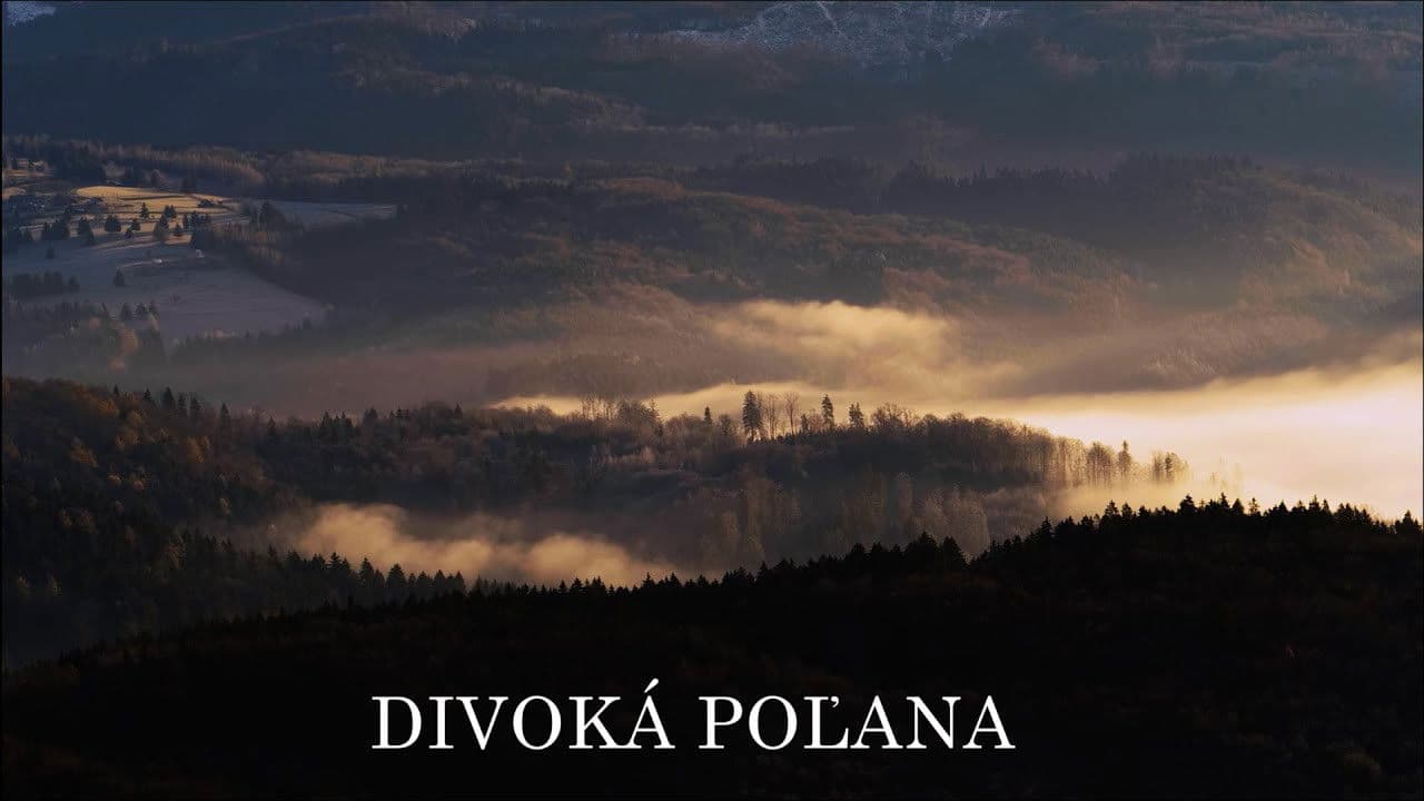 Divoká Poľana: Poľanský jeleň
