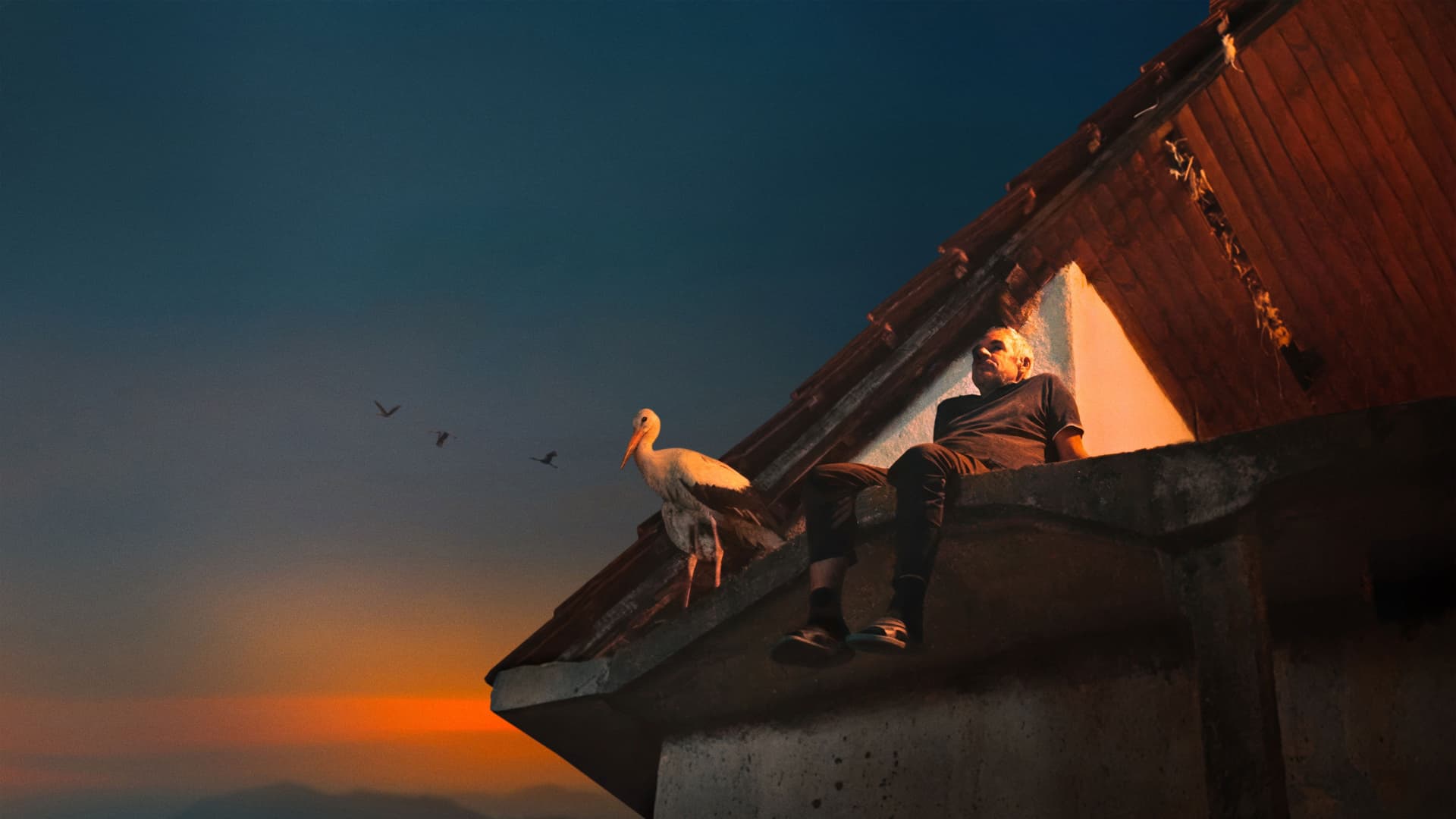 Приказната за Силјан