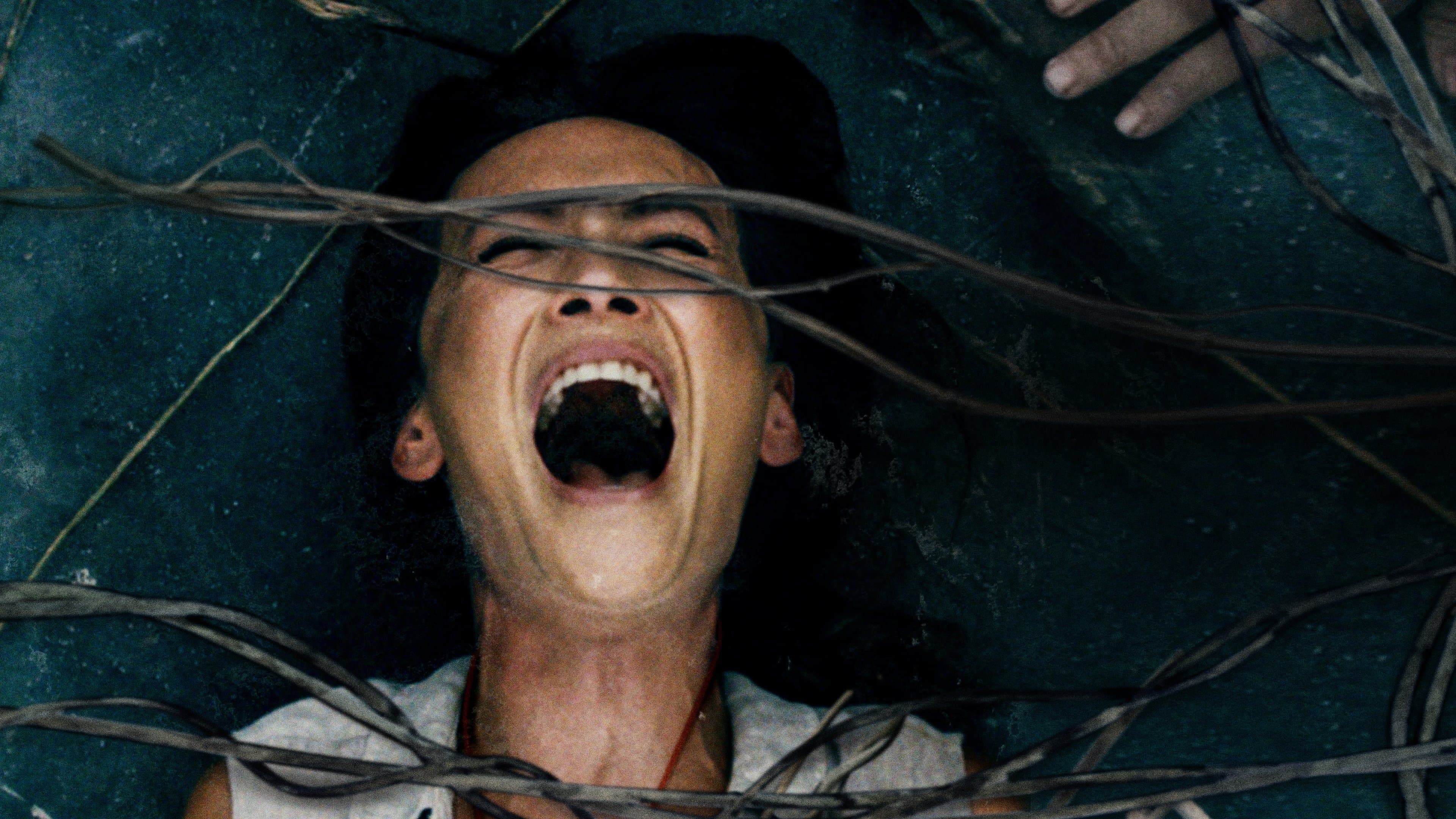 Sărbătoarea morţii mele