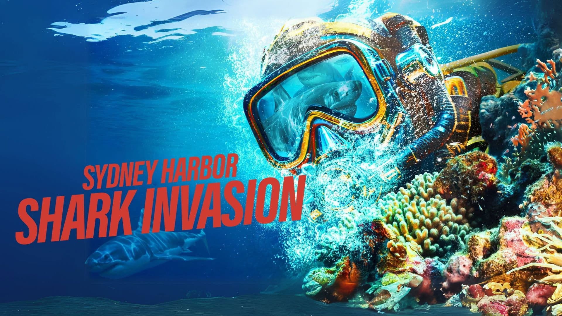 Sydney Harbor Shark Invasion