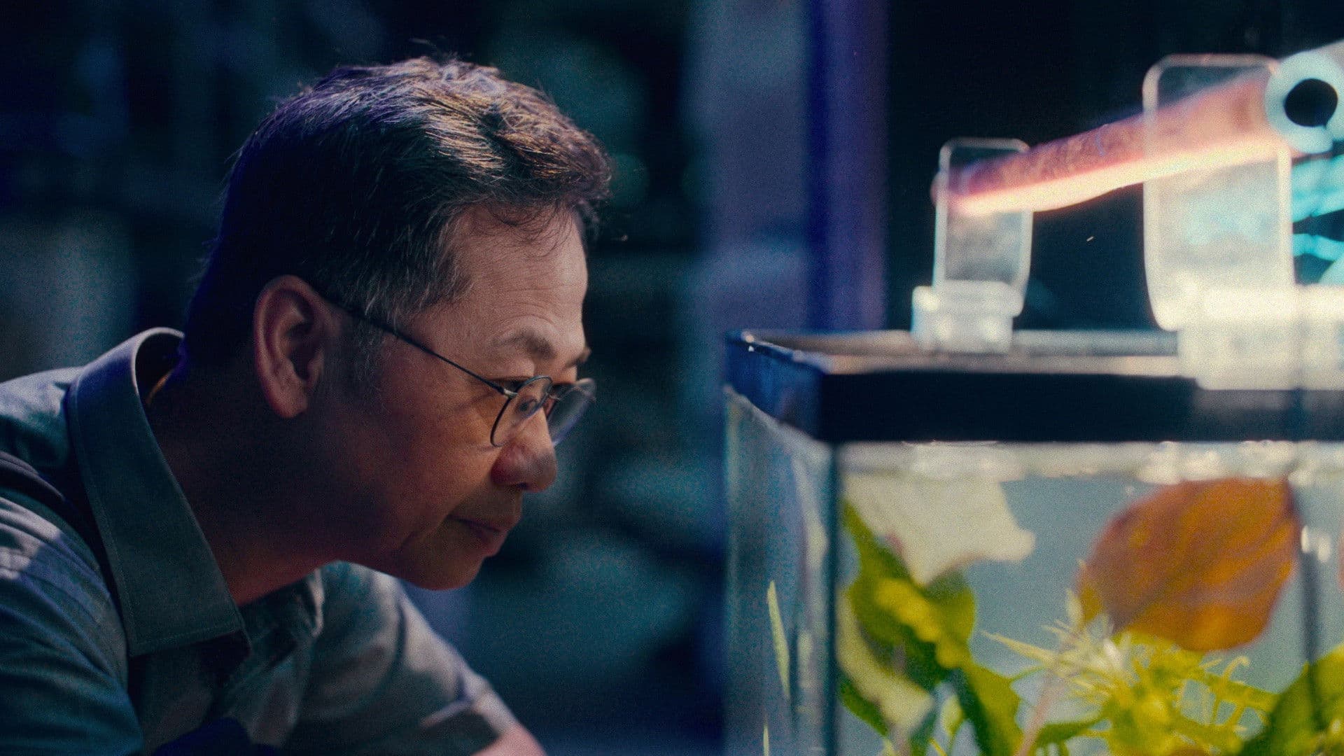 Onderstroom - 暗流