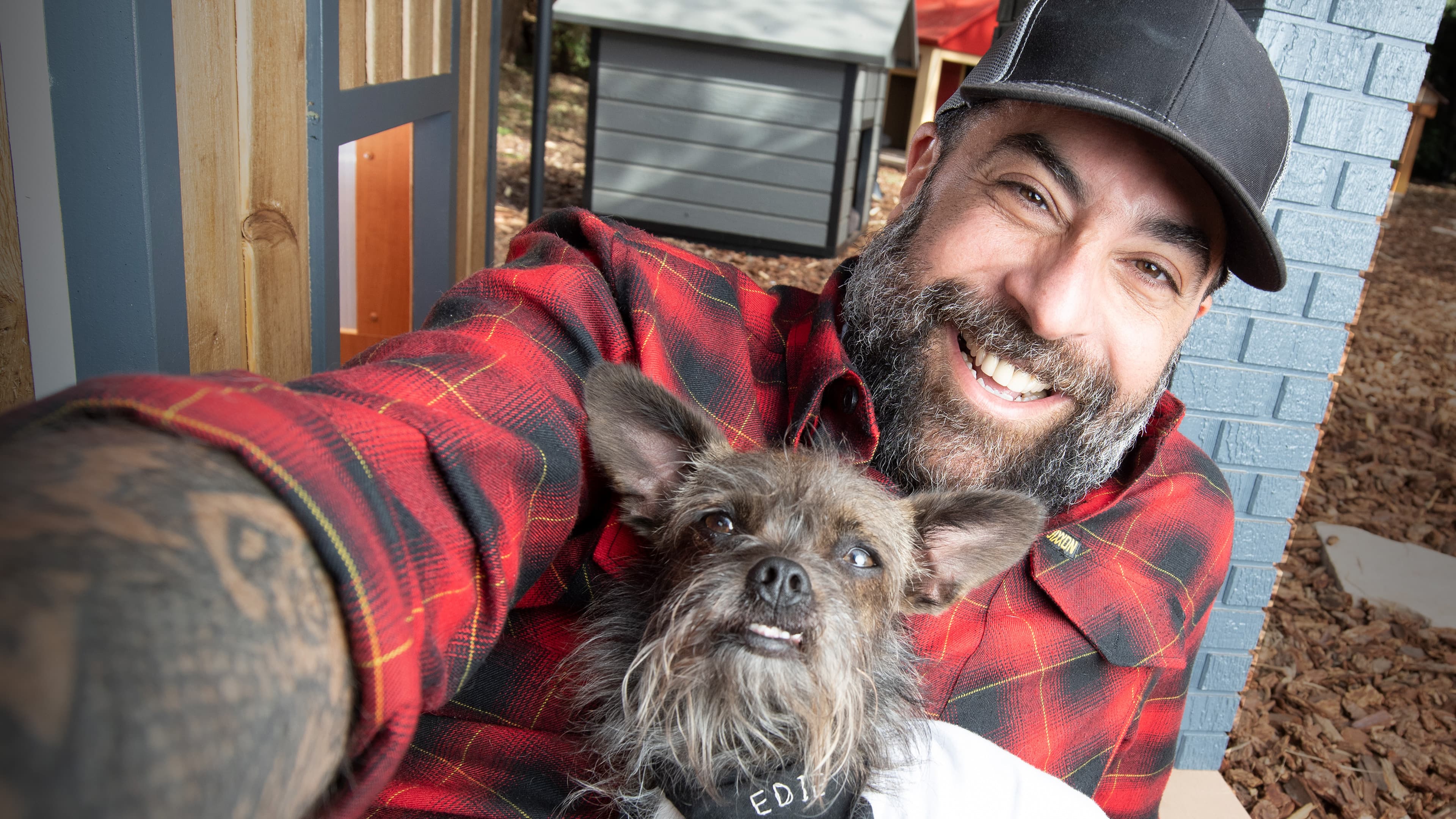 Căsuţe pentru animăluţe