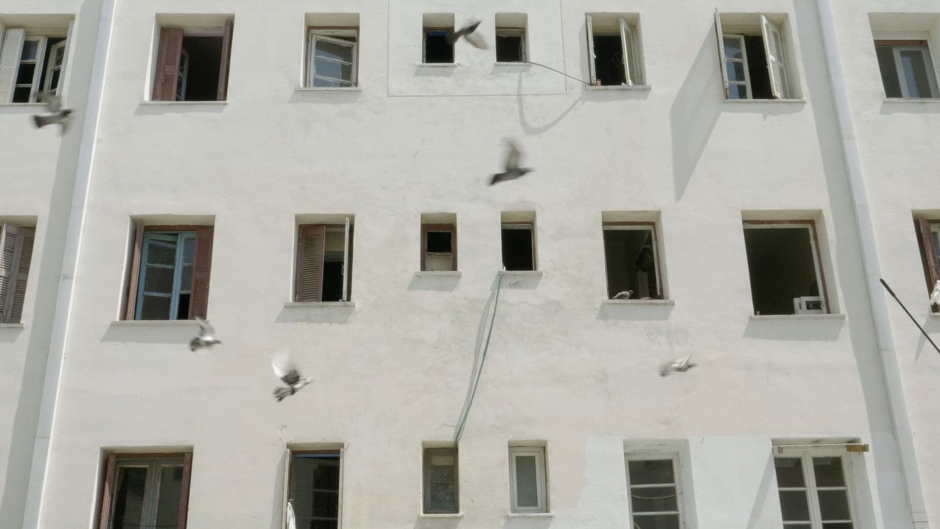 Forget Alberto for Now