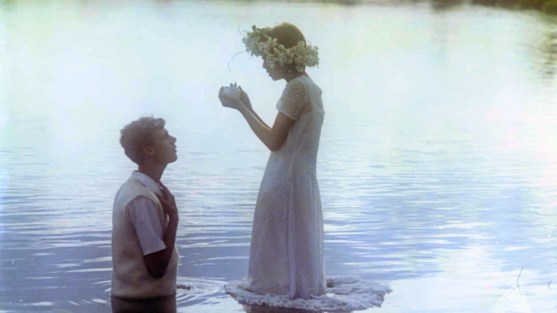 Kronika wypadków miłosnych