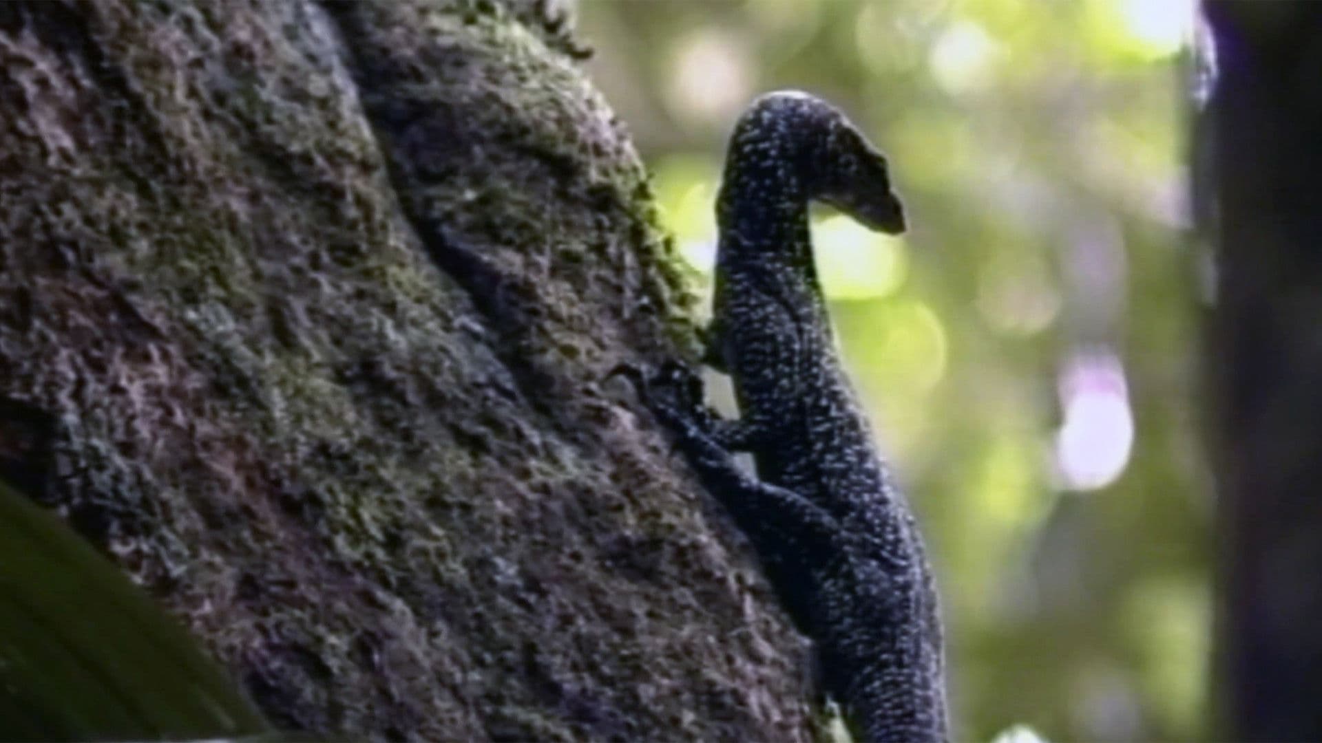 Since the Company Came