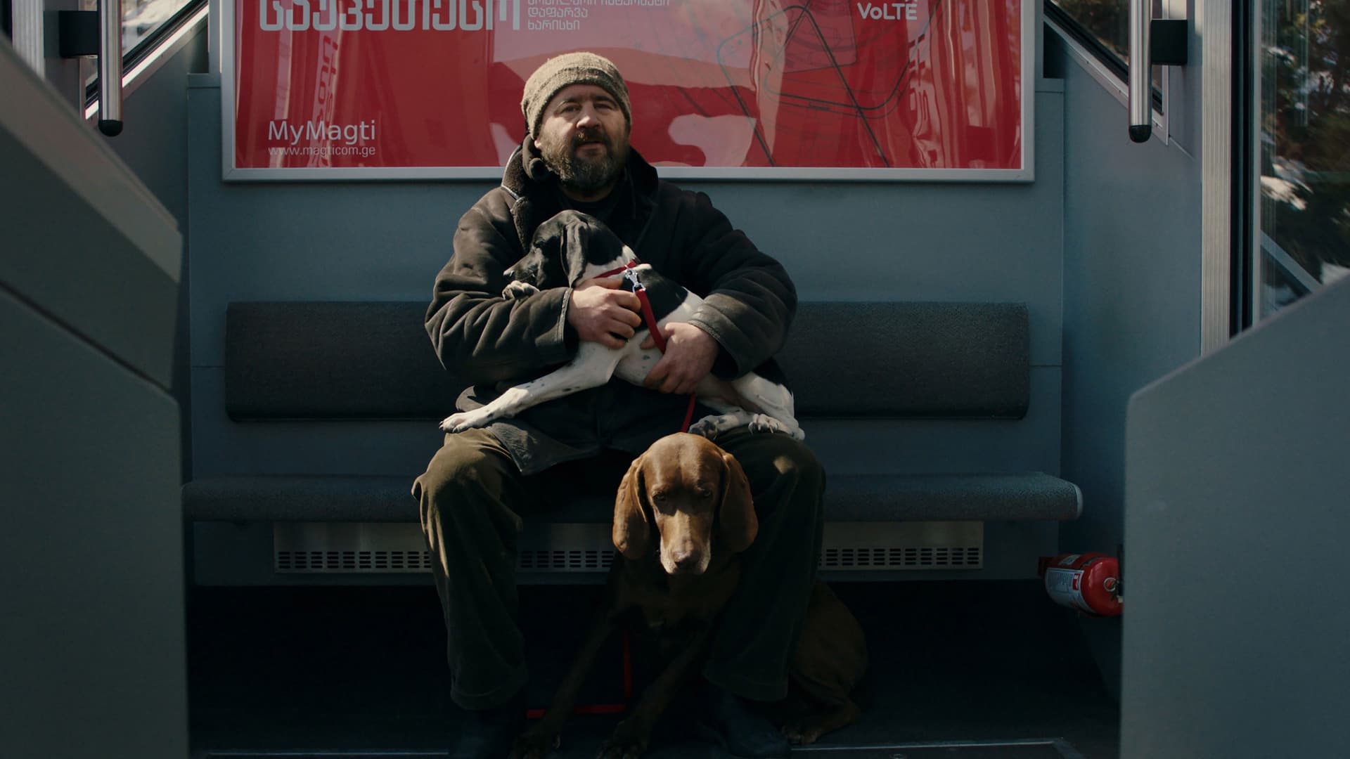 თოვლი ჩემს ეზოში