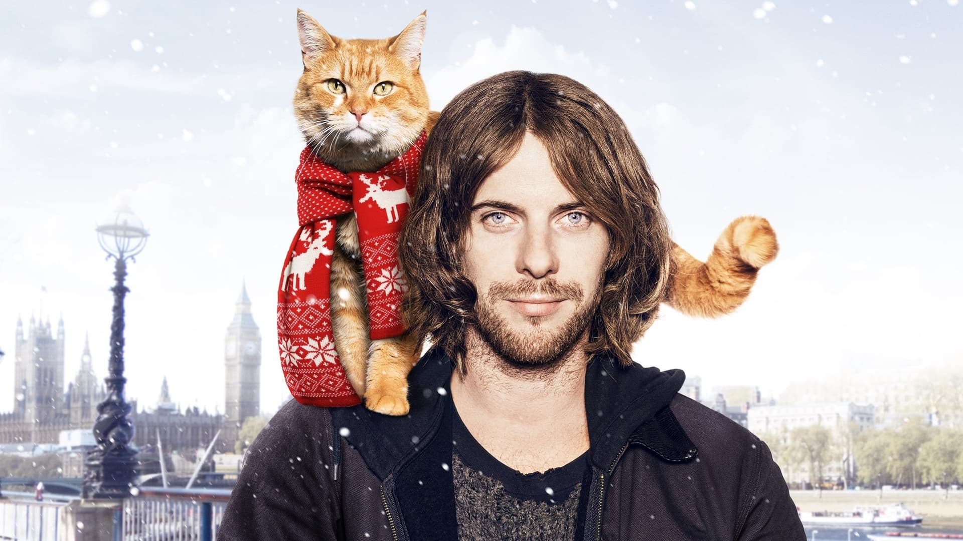 Un motan maidanez numit Bob