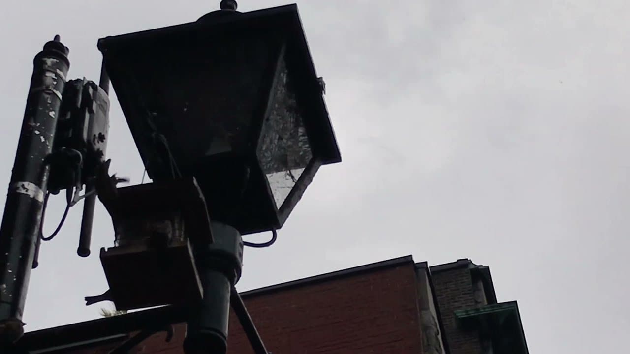 Un día Gris