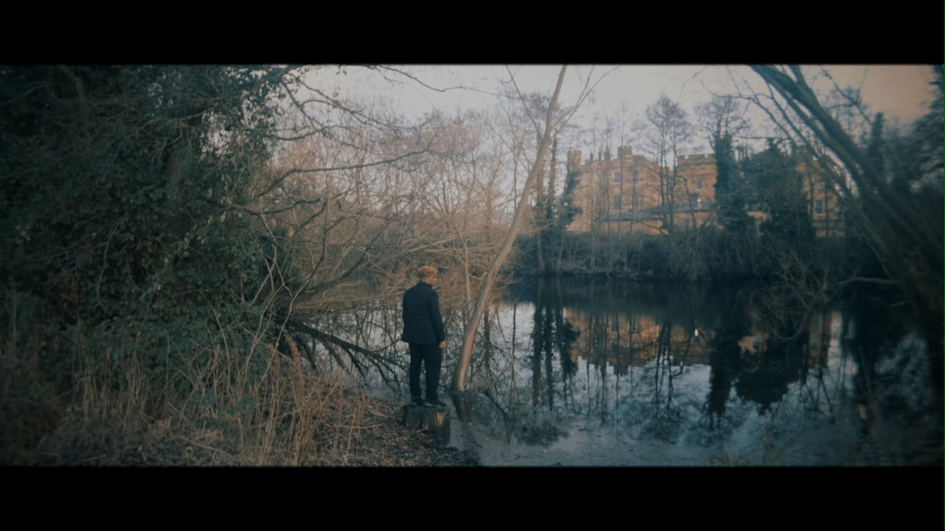 The Roots Of Its Own Kind