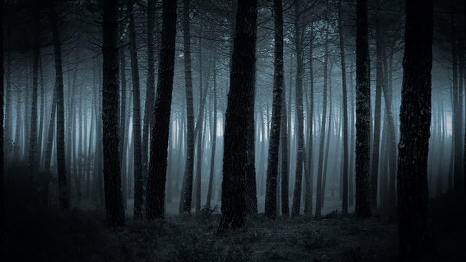 Alone: An Inside Look
