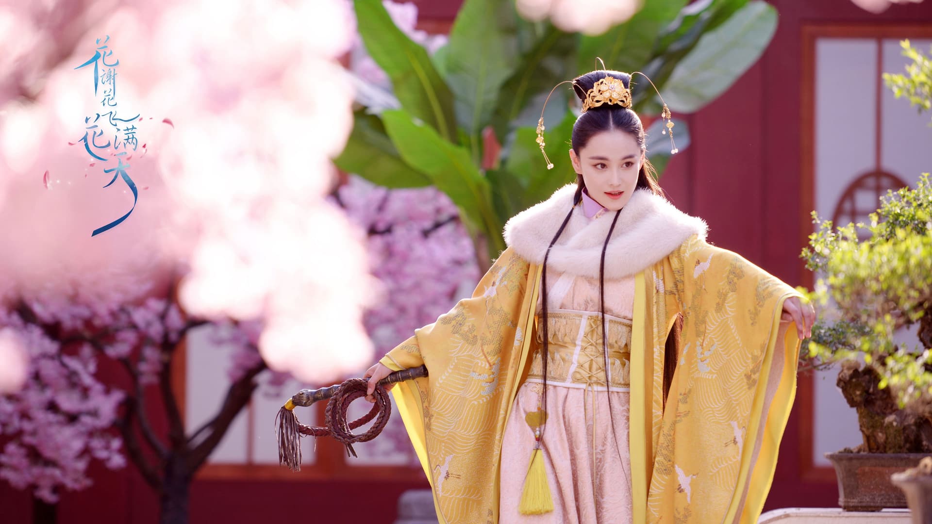 花谢花飞花满天