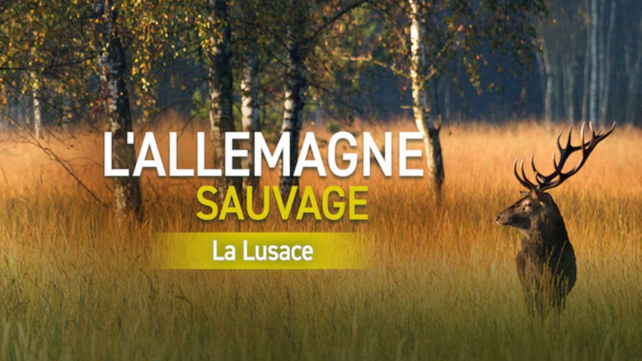 Wildes Deutschland: Die Lausitz