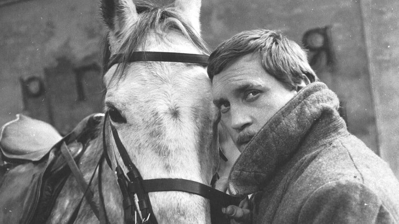 Служили два товарища