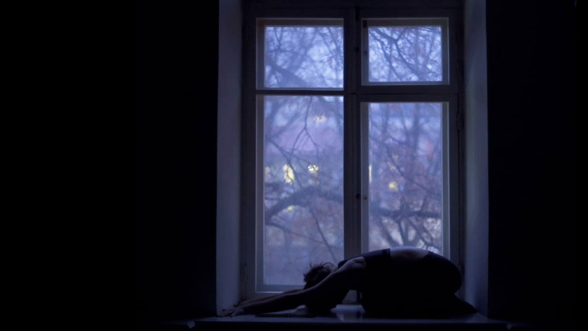 Ніч Леополіса