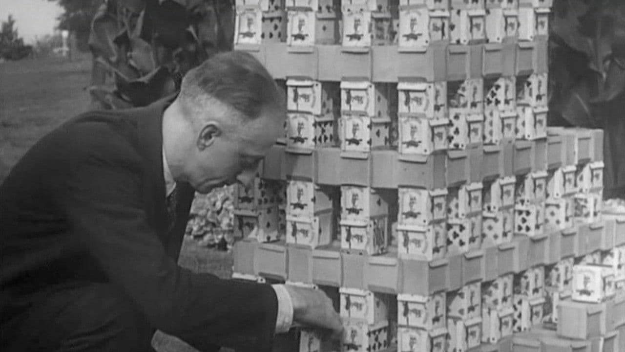 Believe It or Not (Second Series) #2