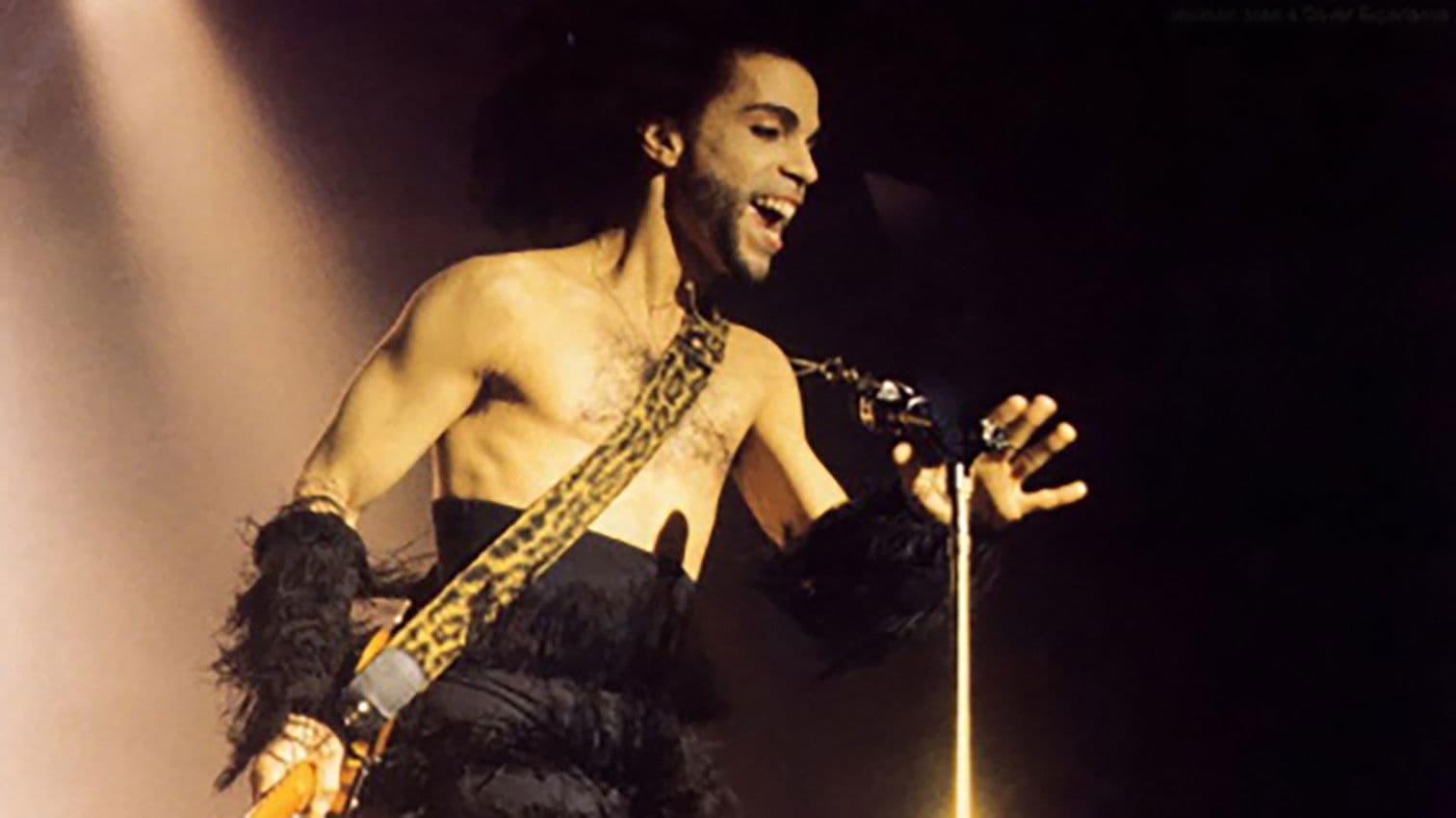 Prince in Tokyo '90 Nude Tour