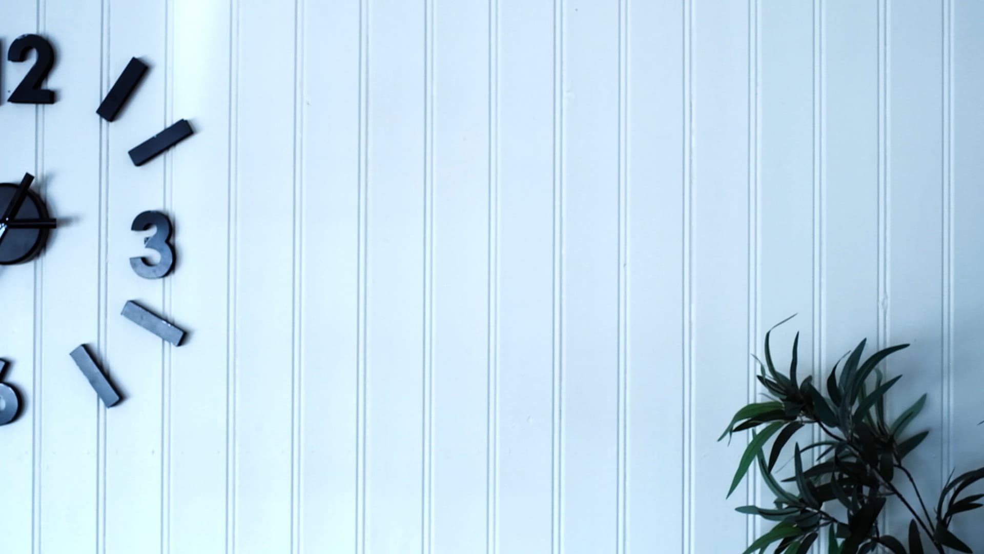 En Flue På Nært Hold