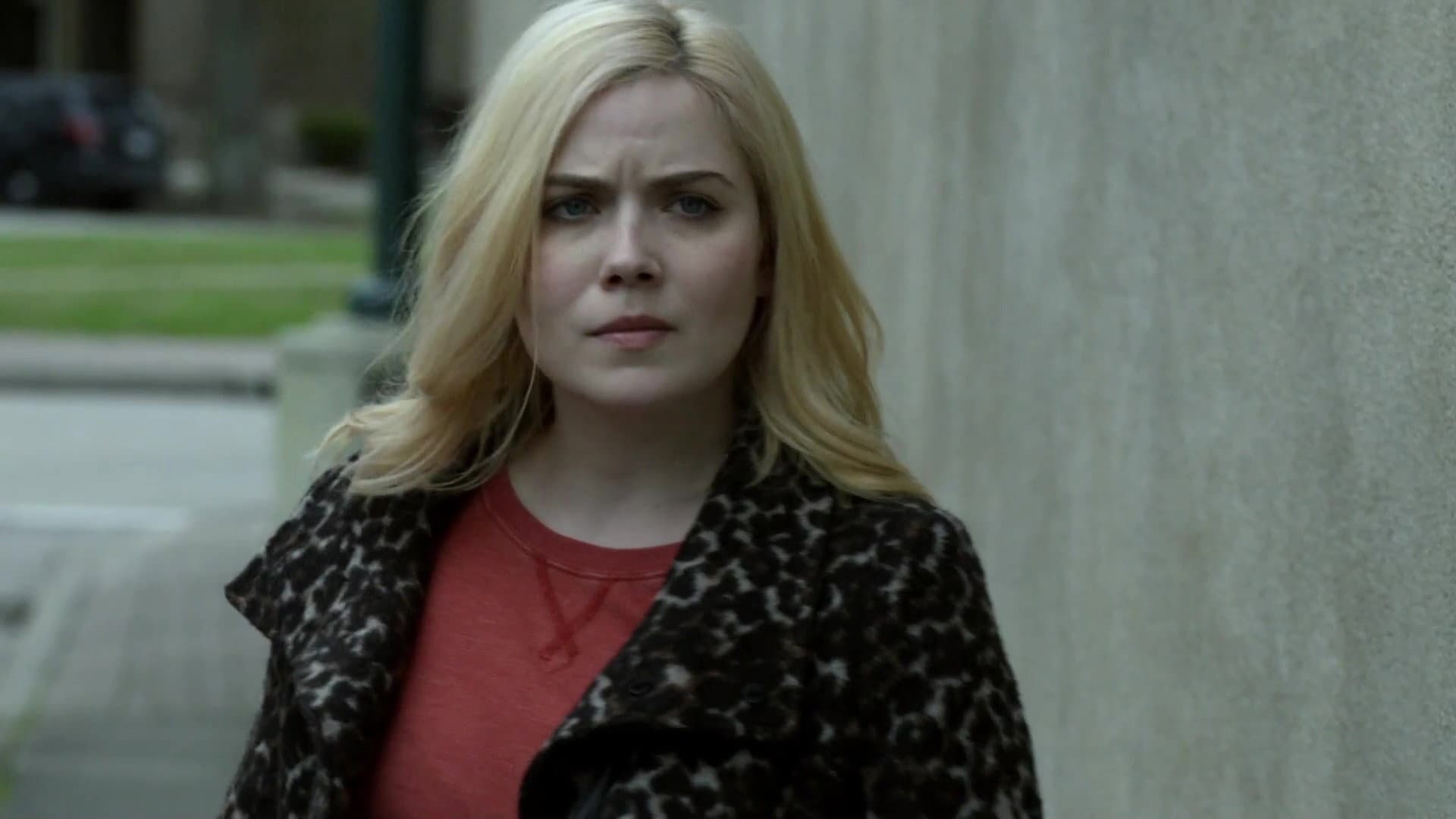 Stolen in Plain Sight