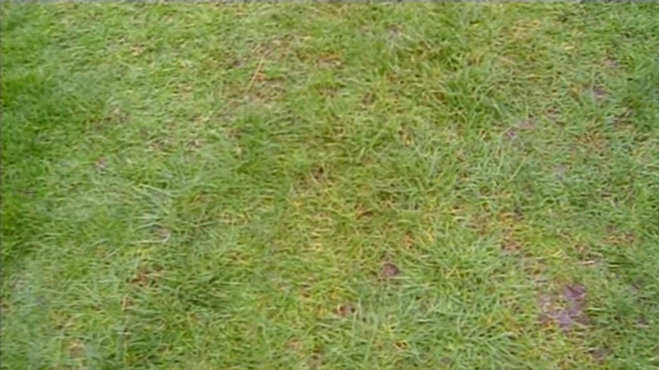 Do You Remember the First Time?