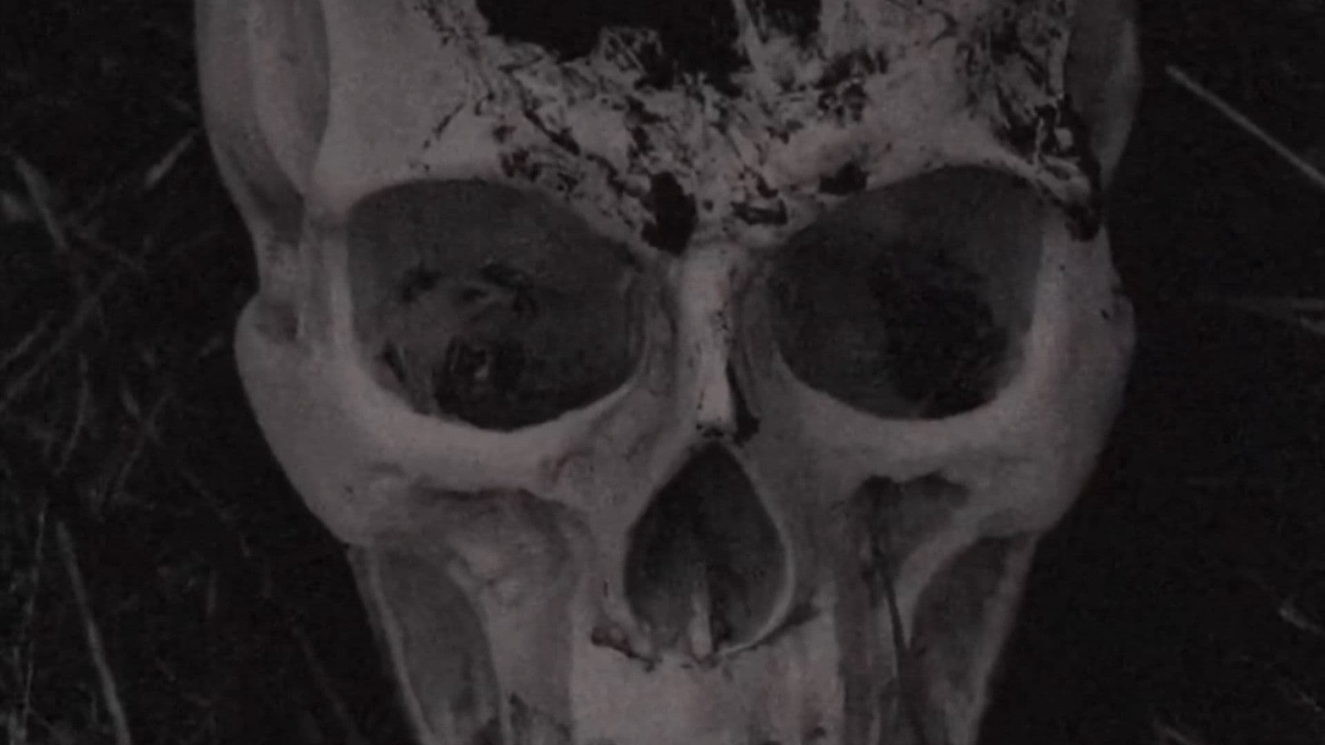 The Volition Of A Bygone Priest