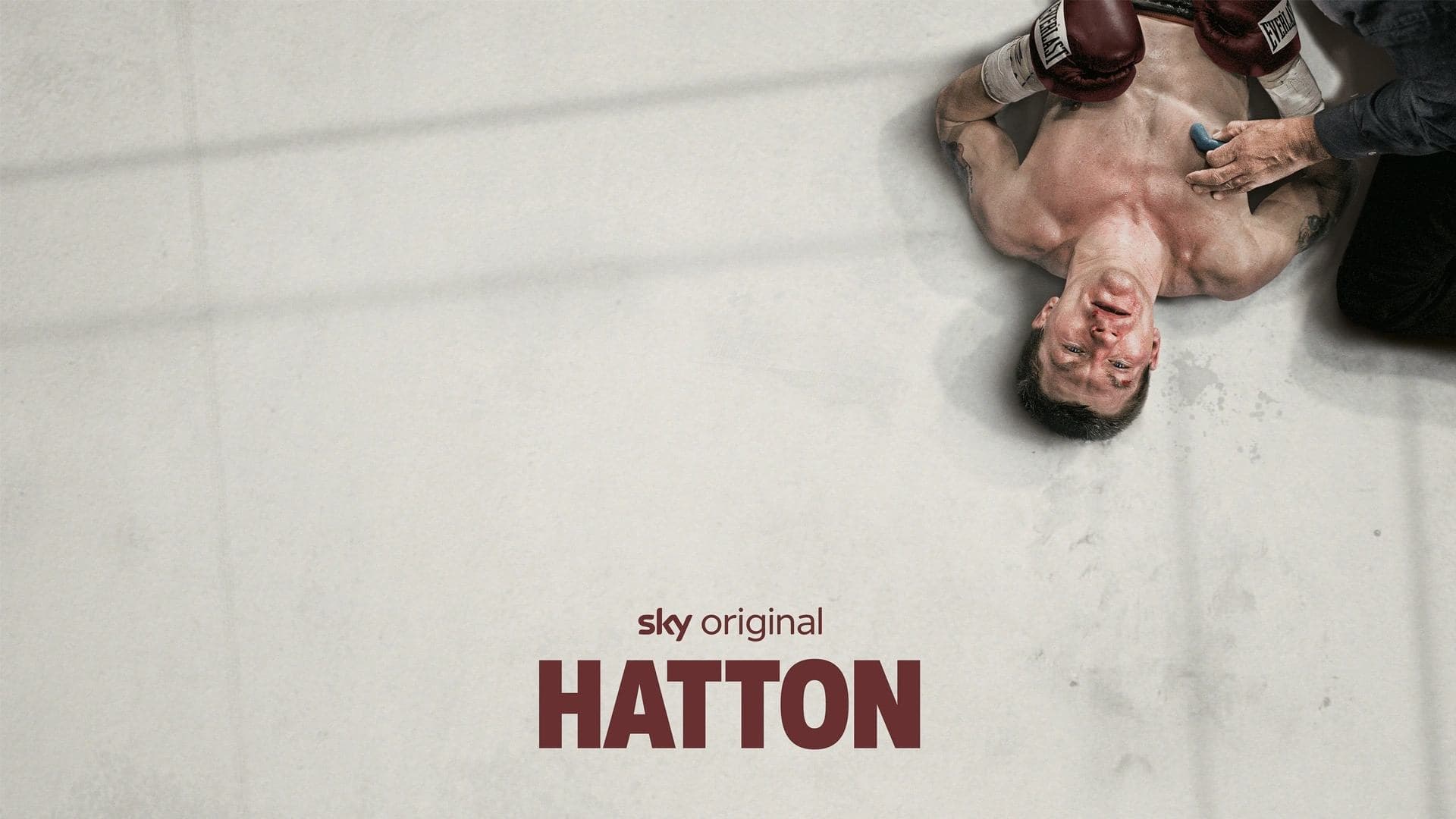 Asasinul: Ricky Hatton