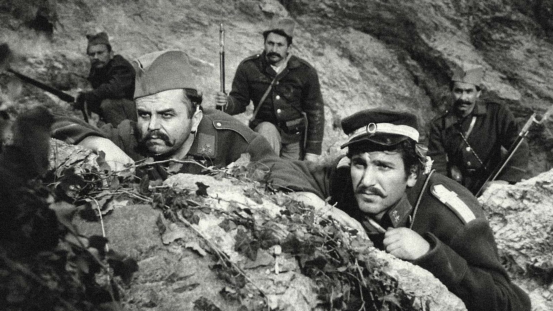 Невесињска пушка