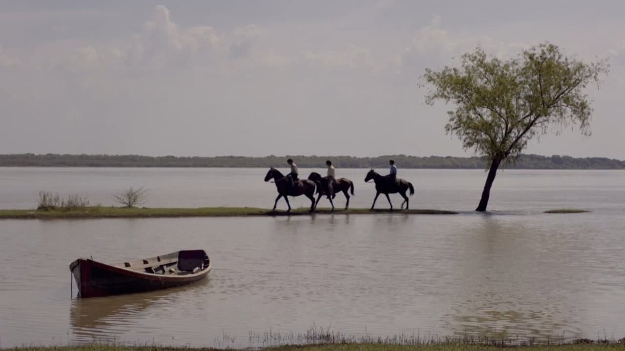 Ejercicios de Memoria