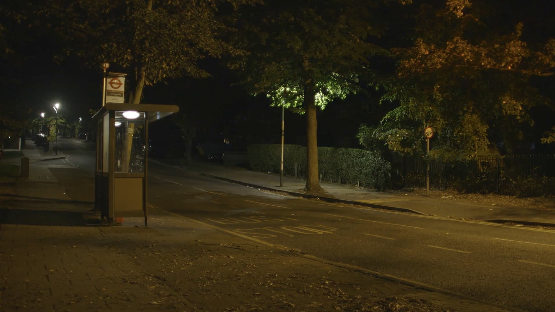 Canon: Urban Deer