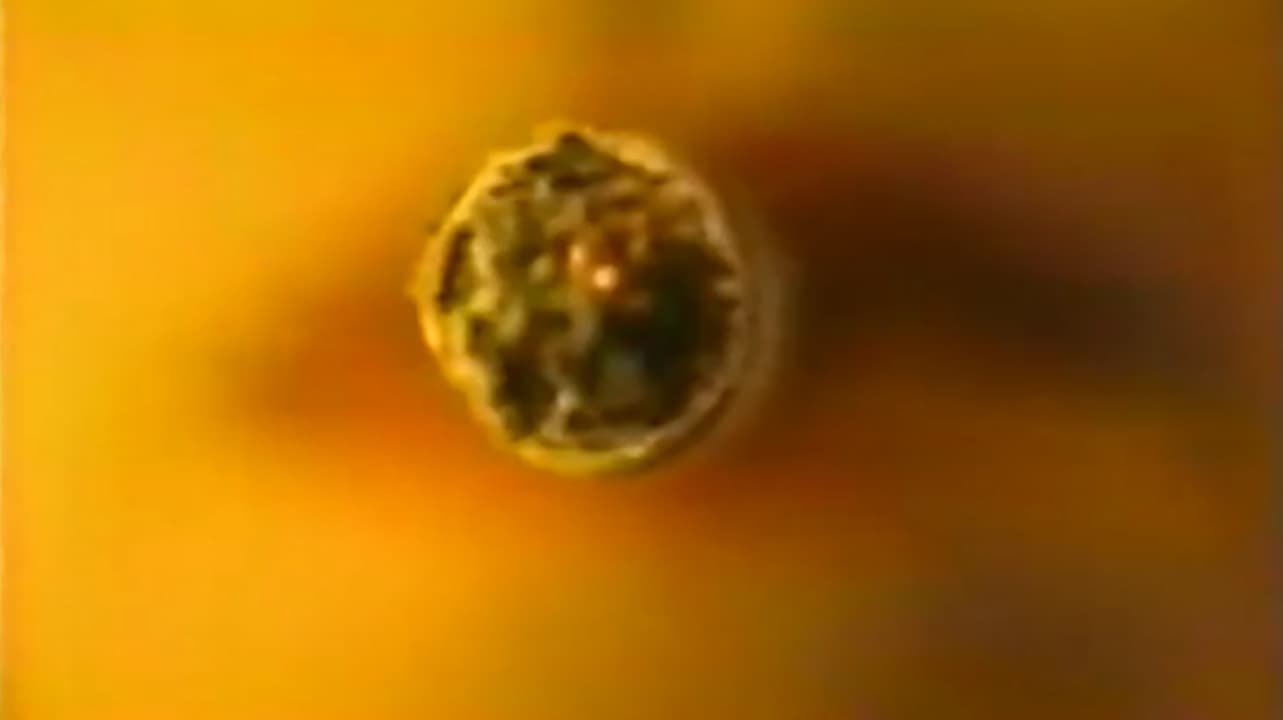 White Trash At Heart