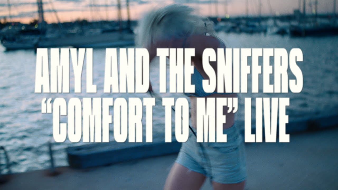 Amyl and The Sniffers - Comfort to Me Live at Williamstown 2022