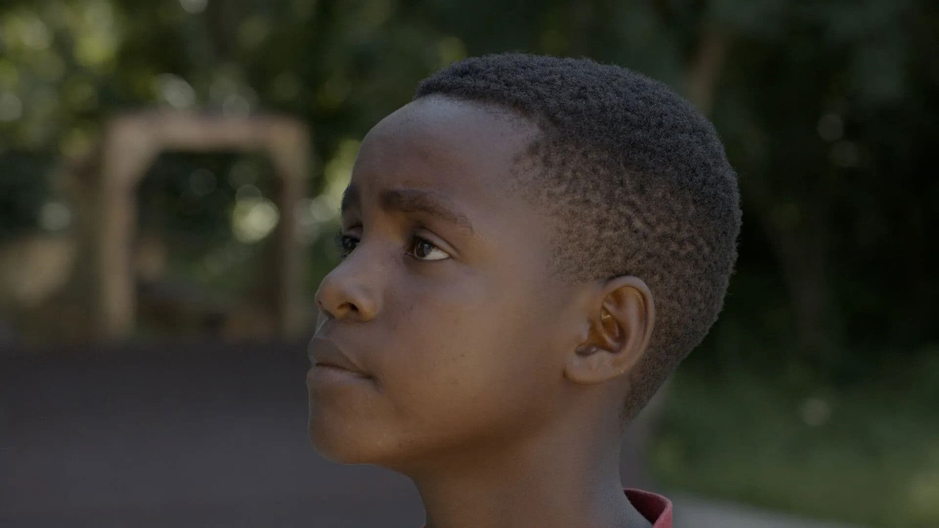 Sonhos de uma Revolução