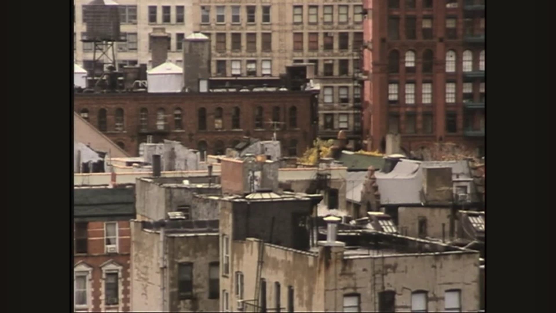 Pleasures of Urban Decay