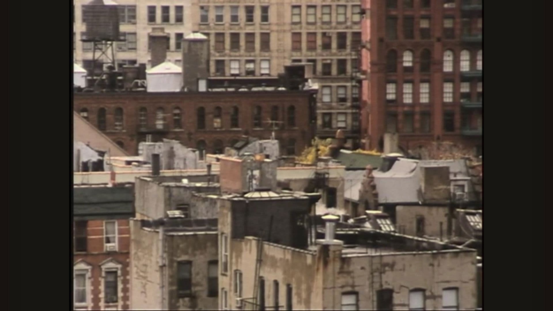 Pleasures of Urban Decay