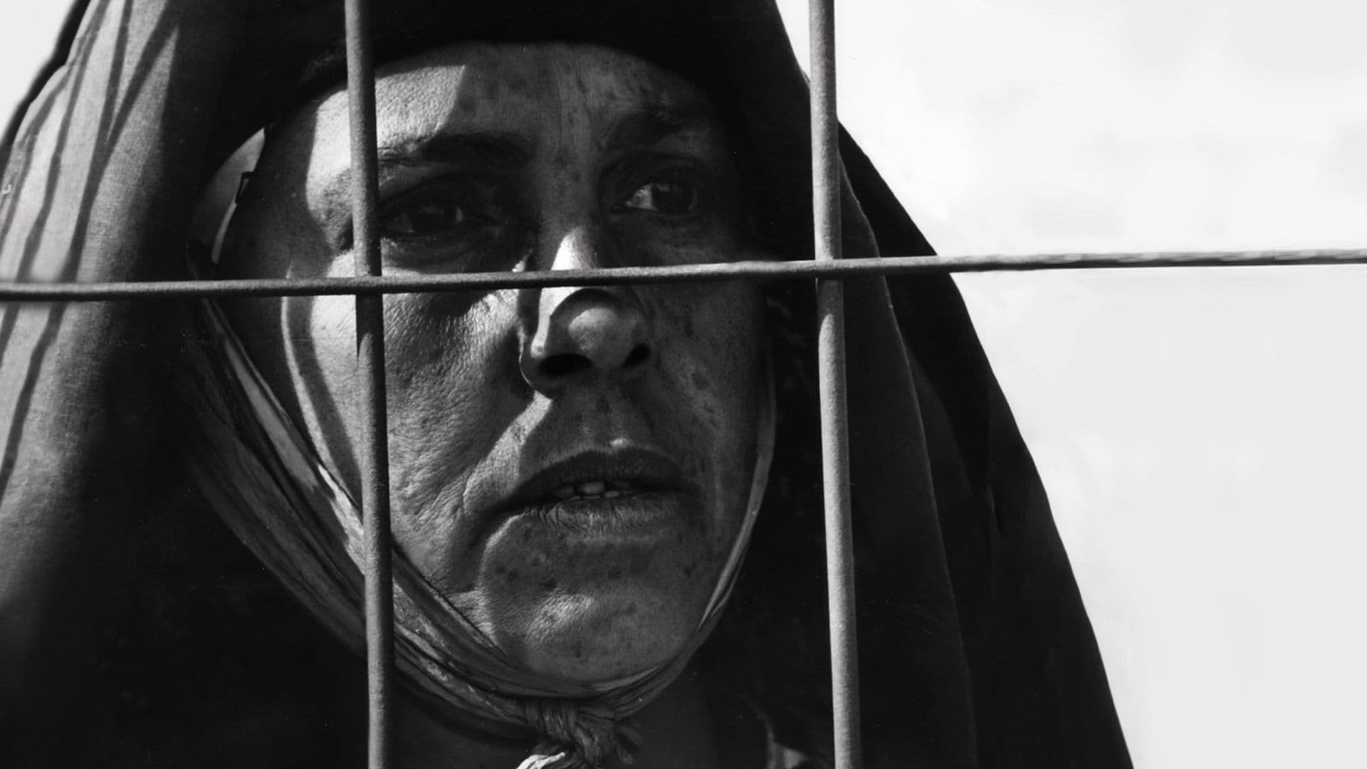 ريح الاوراس