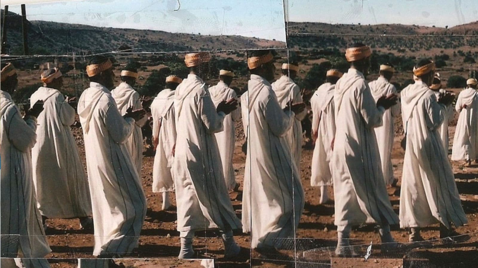 A Hundred Camels in the Courtyard