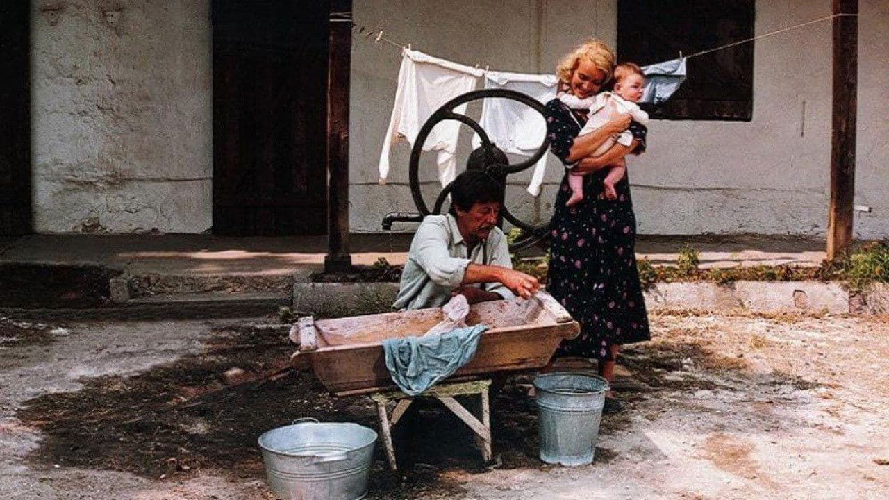 Sortűz egy fekete bivalyért