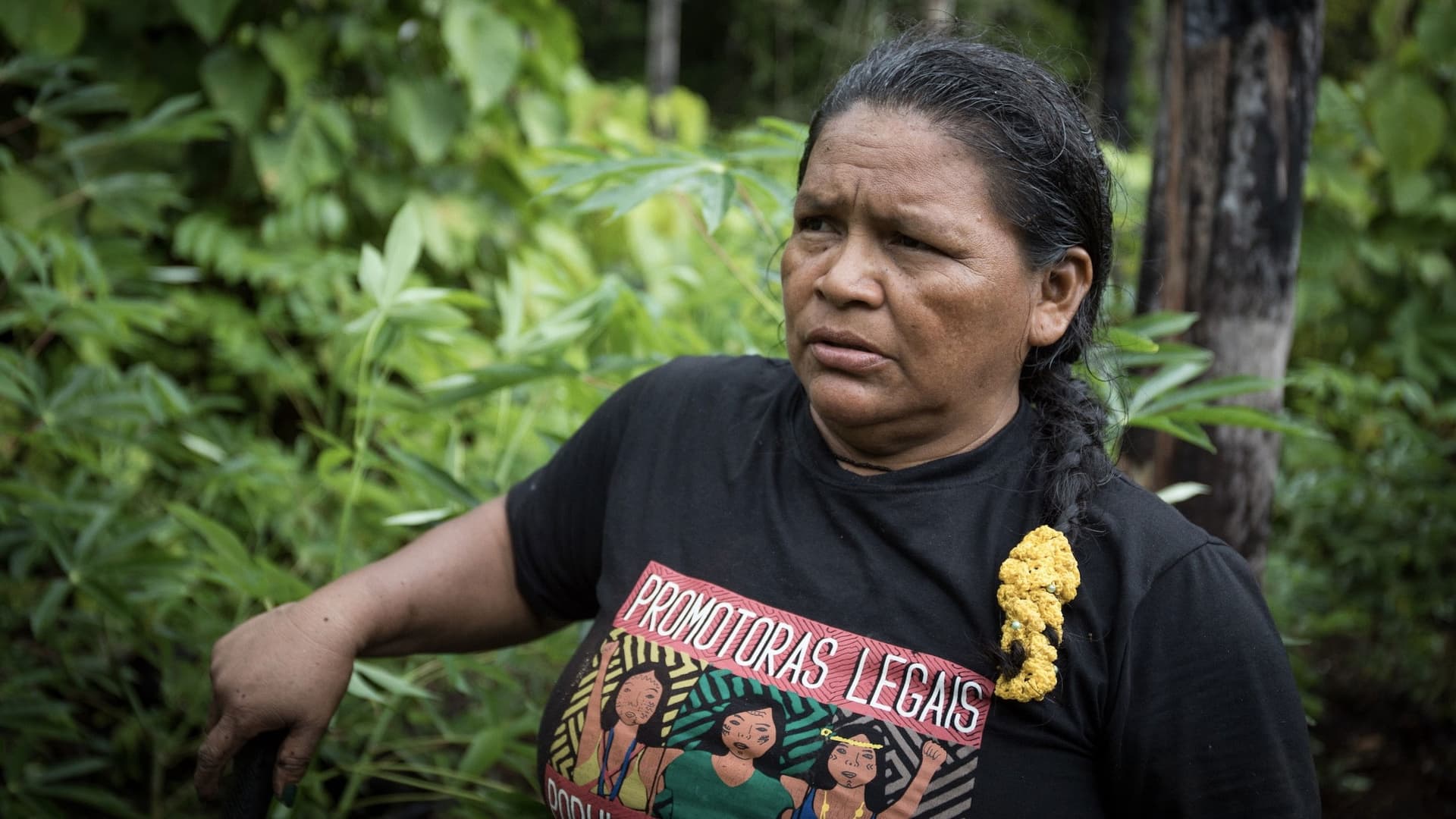 Guardians of the Rainforest