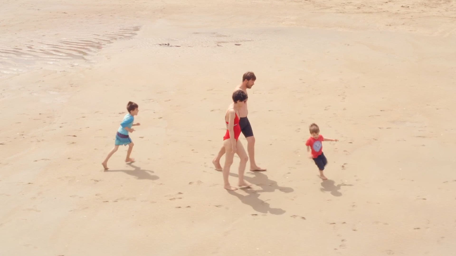 Le rêve des cigognes