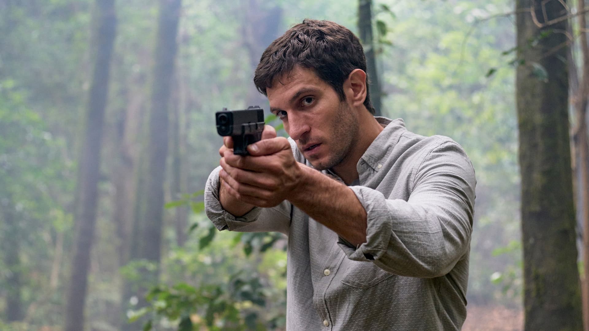 La niebla y la doncella