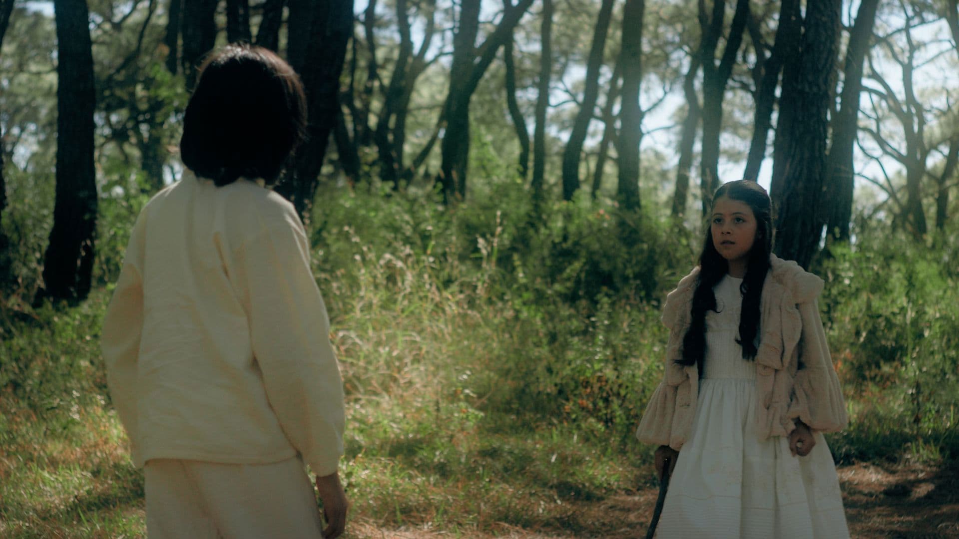 Donde Las Almas Danzan